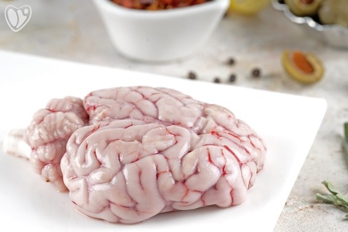 Baby Goat Brain